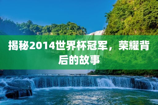 揭秘2014世界杯冠军，荣耀背后的故事
