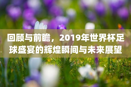 回顾与前瞻，2019年世界杯足球盛宴的辉煌瞬间与未来展望