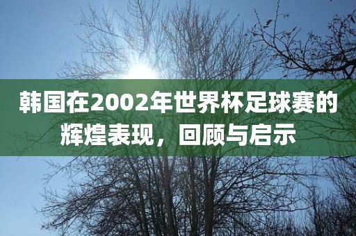 韩国在2002年世界杯足球赛的辉煌表现，回顾与启示