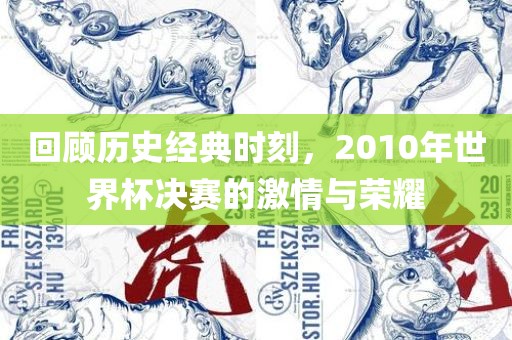 回顾历史经典时刻，2010年世界杯决赛的激情与荣耀
