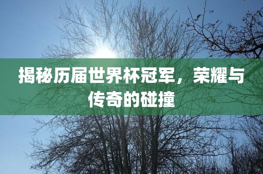 揭秘历届世界杯冠军，荣耀与传奇的碰撞