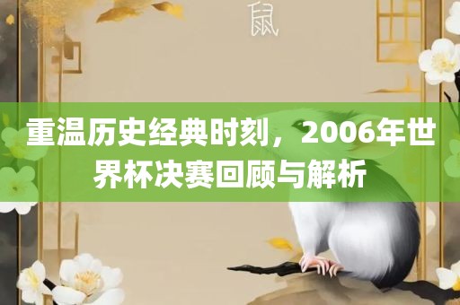 重温历史经典时刻，2006年世界杯决赛回顾与解析