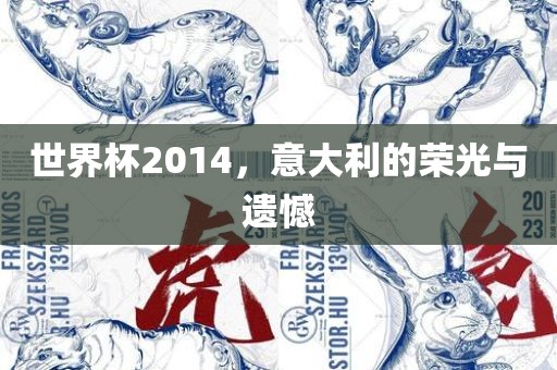 世界杯2014，意大利的荣光与遗憾