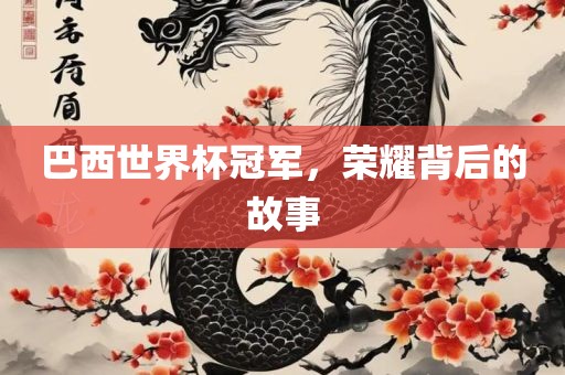 巴西世界杯冠军，荣耀背后的故事