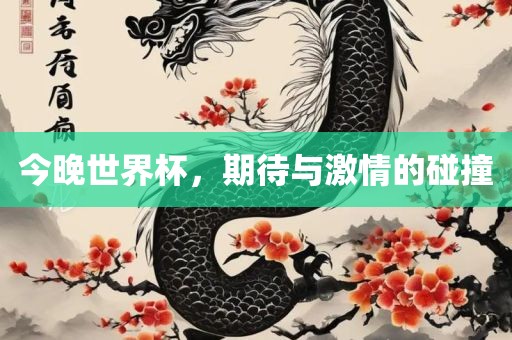 今晚世界杯，期待与激情的碰撞