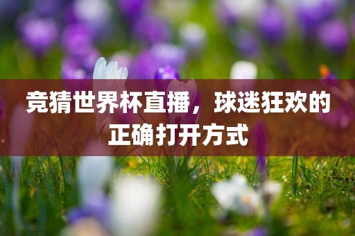 竞猜世界杯直播，球迷狂欢的正确打开方式