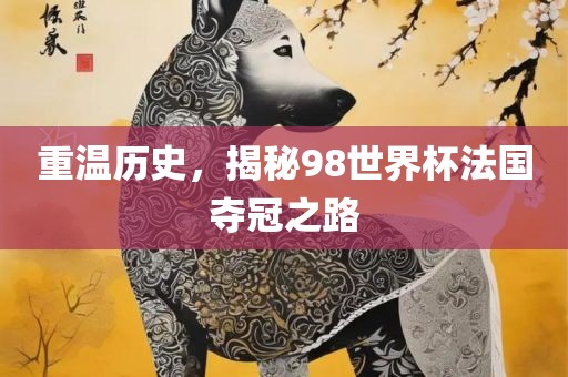 重温历史，揭秘98世界杯法国夺冠之路