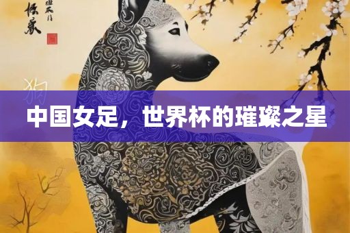 中国女足，世界杯的璀璨之星