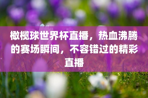 橄榄球世界杯直播，热血沸腾的赛场瞬间，不容错过的精彩直播