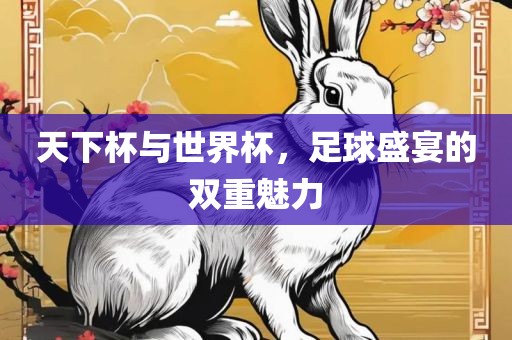 天下杯与世界杯，足球盛宴的双重魅力