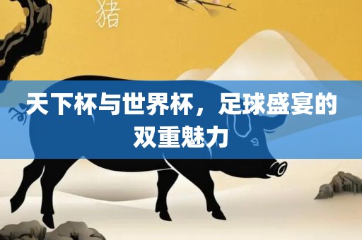 天下杯与世界杯，足球盛宴的双重魅力