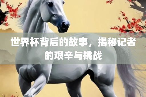 世界杯背后的故事，揭秘记者的艰辛与挑战