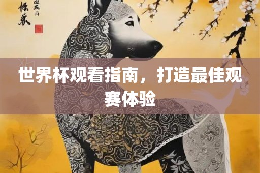 世界杯观看指南，打造最佳观赛体验