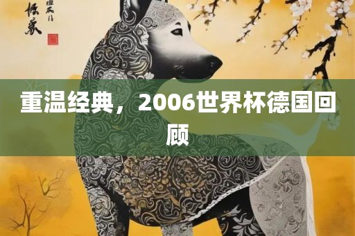 重温经典，2006世界杯德国回顾