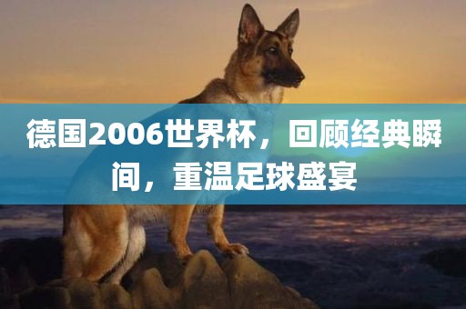 德国2006世界杯，回顾经典瞬间，重温足球盛宴