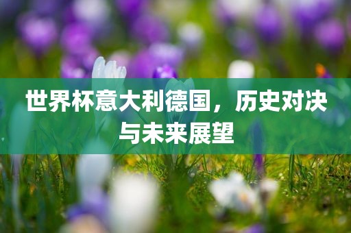 世界杯意大利德国，历史对决与未来展望