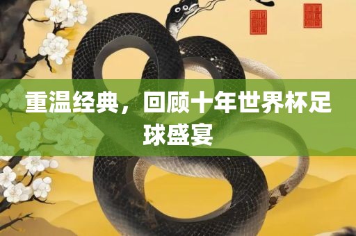 重温经典，回顾十年世界杯足球盛宴