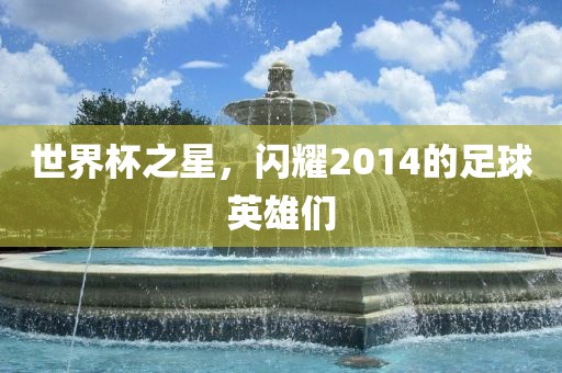 世界杯之星，闪耀2014的足球英雄们