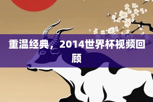 重温经典，2014世界杯视频回顾