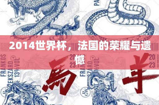 2014世界杯，法国的荣耀与遗憾