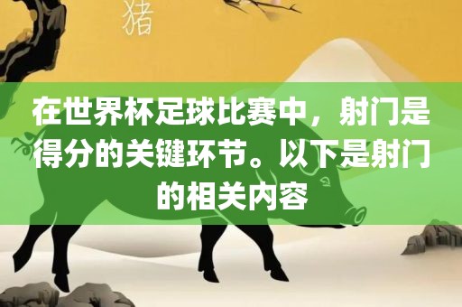 在世界杯足球比赛中，射门是得分的关键环节。以下是射门的相关内容