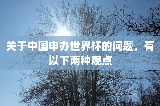 关于中国申办世界杯的问题，有以下两种观点