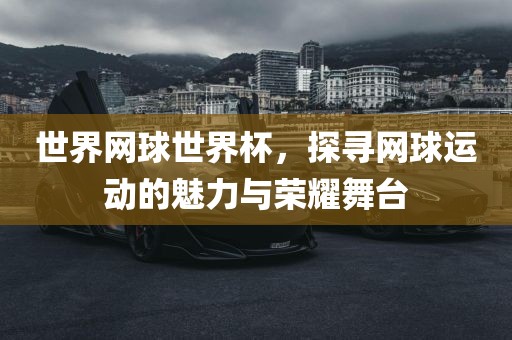 世界网球世界杯，探寻网球运动的魅力与荣耀舞台