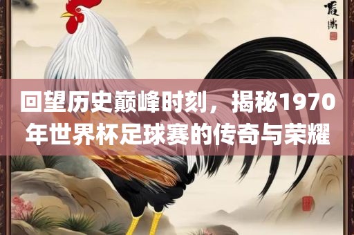 回望历史巅峰时刻，揭秘1970年世界杯足球赛的传奇与荣耀