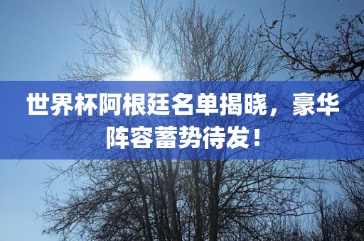 世界杯阿根廷名单揭晓，豪华阵容蓄势待发！金炬实业股份有限公司