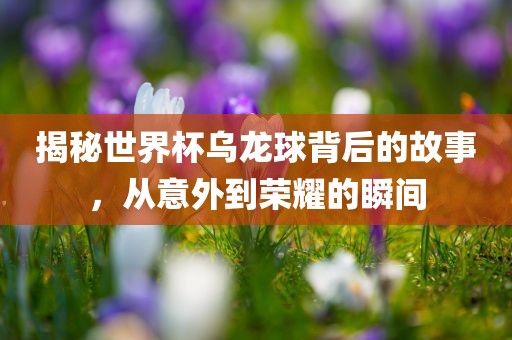 揭秘世界杯乌龙球背后的故事，从意外到荣耀的瞬间
