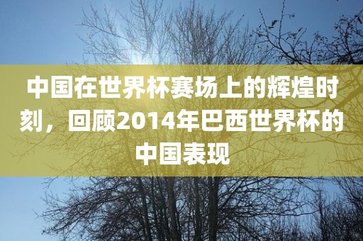 中国在世界杯赛场上的辉煌时刻，回顾2014年巴西世界杯的中国表现金炬实业股份有限公司