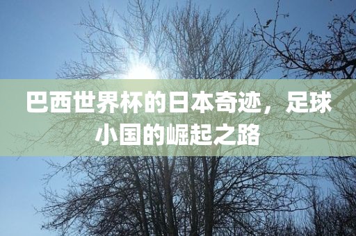 巴西世界杯的日本奇迹，足球小国的崛起之路金炬实业股份有限公司