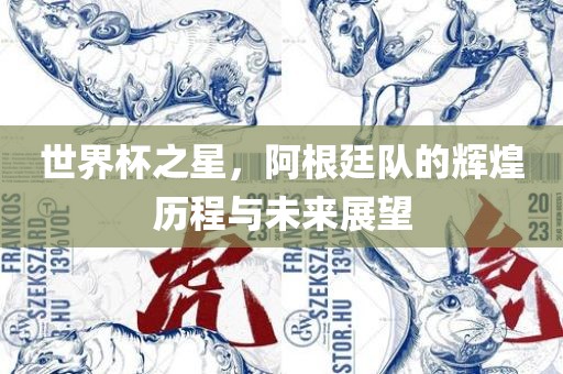 世界杯之星，阿根廷队的辉煌历程与未来展望