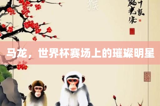 马龙，世界杯赛场上的璀璨明星