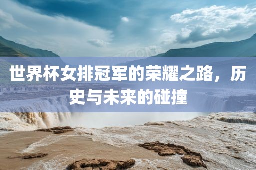 世界杯女排冠军的荣耀之路，历史与未来的碰撞