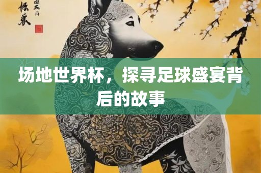 场地世界杯，探寻足球盛宴背后的故事