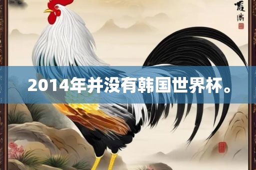 2014年并没有韩国世界杯。