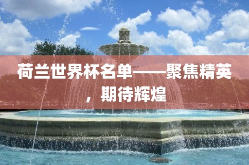 荷兰世界杯名单——聚焦精英，期待辉煌