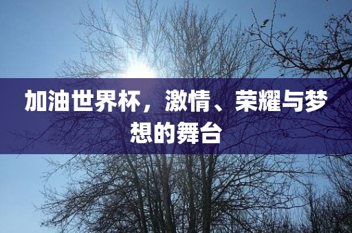 加油世界杯，激情、荣耀与梦想的舞台