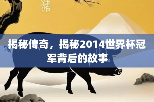 揭秘传奇，揭秘2014世界杯冠军背后的故事