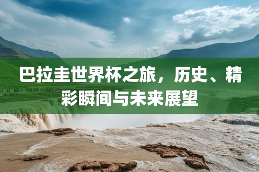 巴拉圭世界杯之旅，历史、精彩瞬间与未来展望