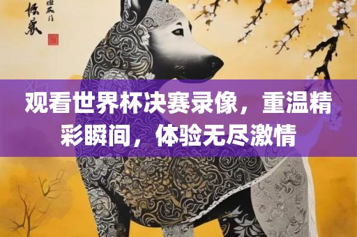 观看世界杯决赛录像，重温精彩瞬间，体验无尽激情