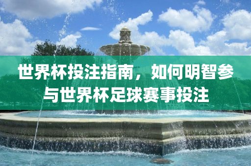 世界杯投注指南，如何明智参与世界杯足球赛事投注