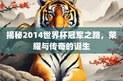 揭秘2014世界杯冠军之路，荣耀与传奇的诞生