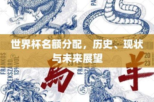 世界杯名额分配，历史、现状与未来展望