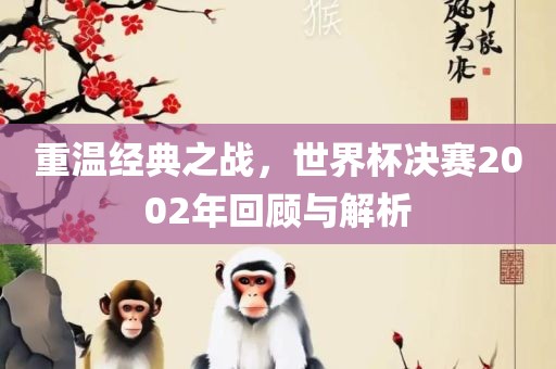 重温经典之战，世界杯决赛2002年回顾与解析