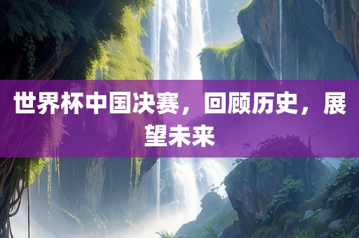 世界杯中国决赛，回顾历史，展望未来