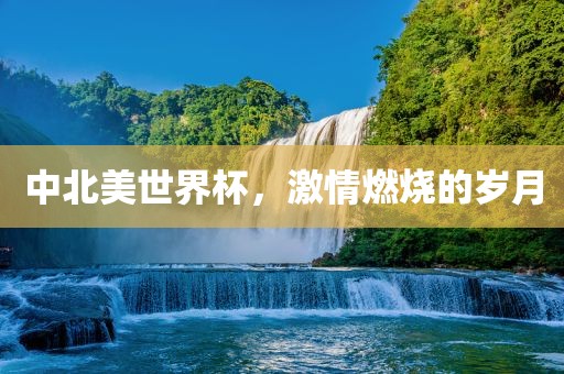 中北美世界杯，激情燃烧的岁月