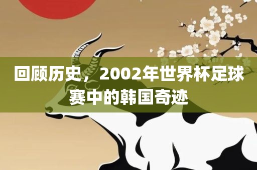 回顾历史，2002年世界杯足球赛中的韩国奇迹