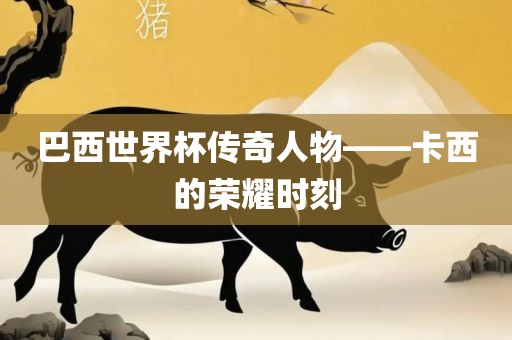 巴西世界杯传奇人物——卡西的荣耀时刻